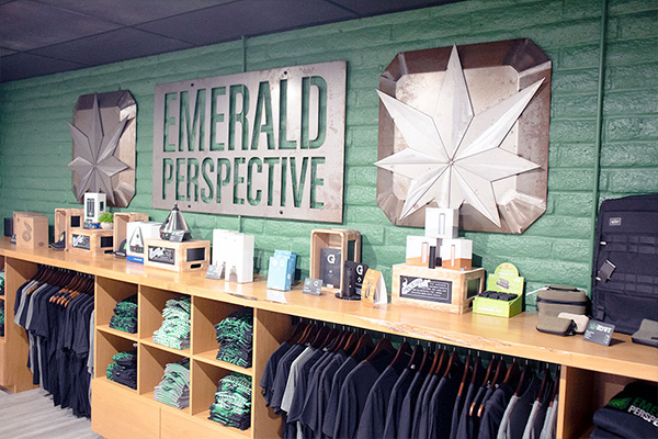 about-emerald-perspective-1
